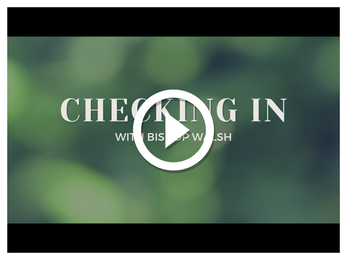 Checking in cover